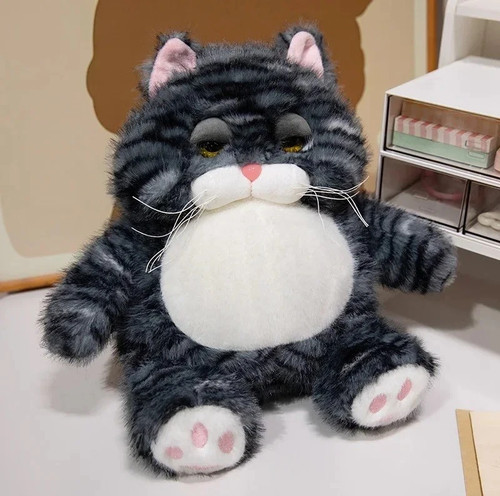 Gray fat kitten - fat,