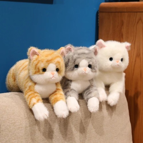 Cute kitten plush soft - kitten,