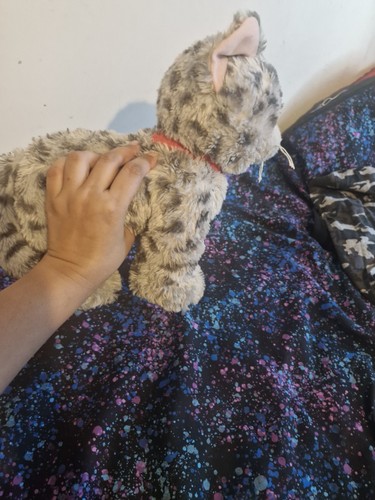Soft toy cat for - for, kids.