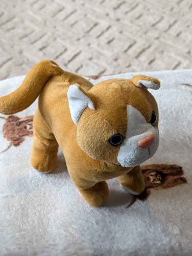 Cute plush cat soft - cat,