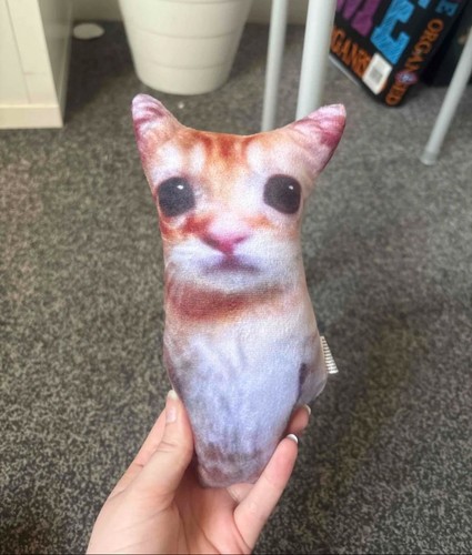 Realistic cat plushie - cat,