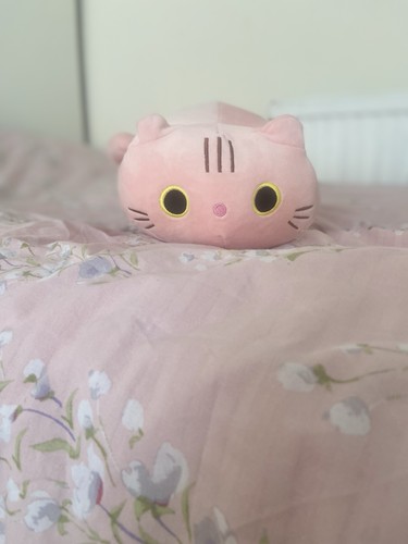 Cute pink cat pillow like - cute,