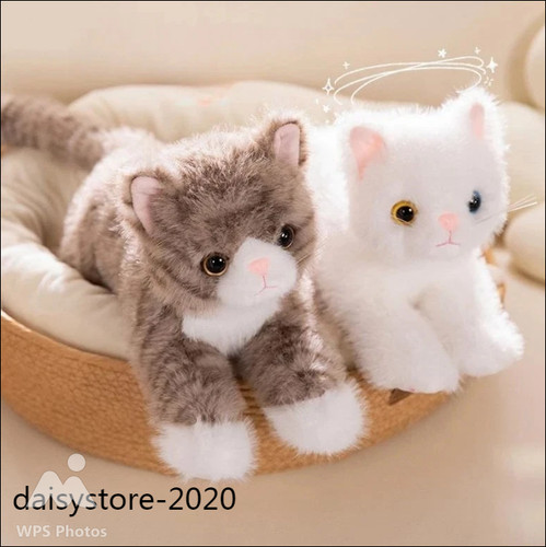 Realistic kitten plush toy - kitten,