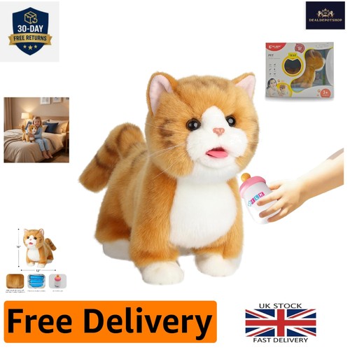 Interactive walking cat - cat, toy