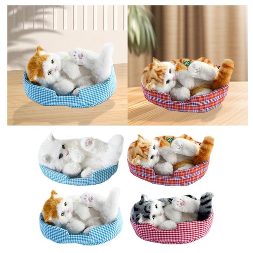 Interactive plush cat toy for - cat,